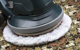 Golden Star 17" SOIL-SORB™ Carpet Cleaning Bonnet 6-Case - Image 2